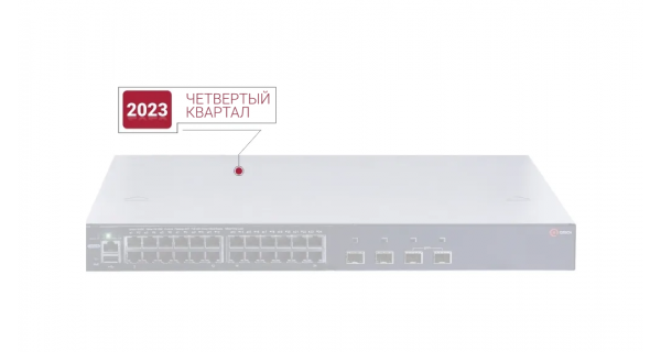 QTECH QSW-4900-28TBX-POE
